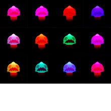 画像をギャラリービューアに読み込む, 【花譜】らぷらすペンライト/5th One-Man Live「宿声/深愛」OFFICIAL LIVE GOODS