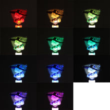 画像をギャラリービューアに読み込む, 【跳亜+詩道】跳亜コスのお狐さんペンライト/Acoustic 2man LIVE「RISE LIVE」