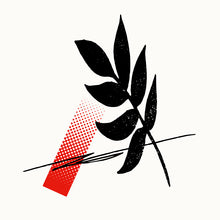 画像をギャラリービューアに読み込む, 【Guiano】2nd Album「A」BOX盤