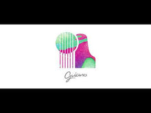 ギャラリービューア【Guiano】1st Album「Love & Music」に読み込んでビデオを見る
