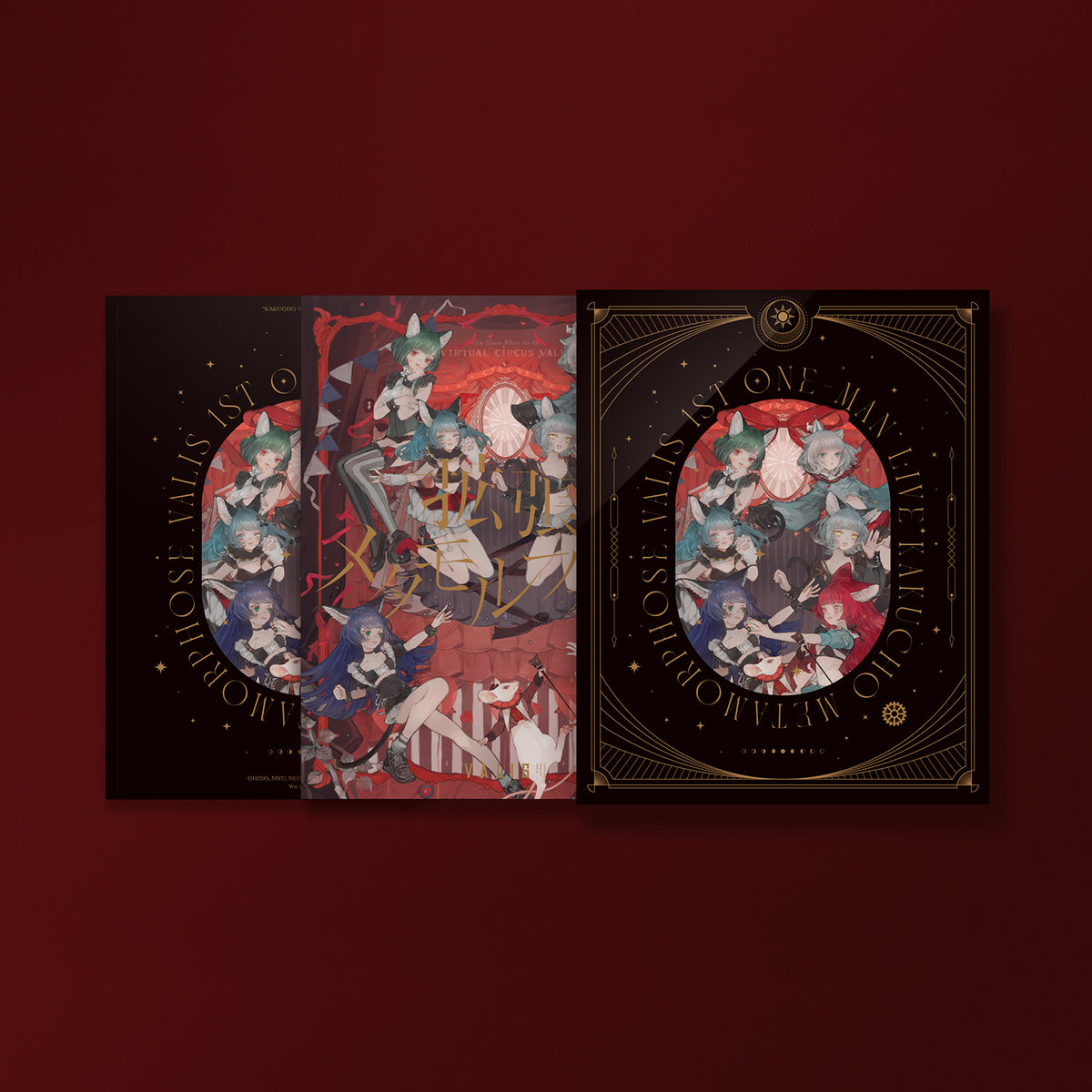 VALIS】LIVE Blu-ray「拡張メタモルフォーゼ」（フォトブック