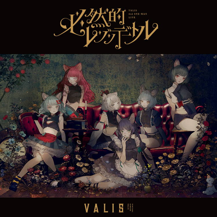 VALIS 必然的レゾンデートル SPECIAL BOX Blu-ray VALIS 3rd ONE-MAN LIVE「必然的レゾンデートル」グッズ「感情