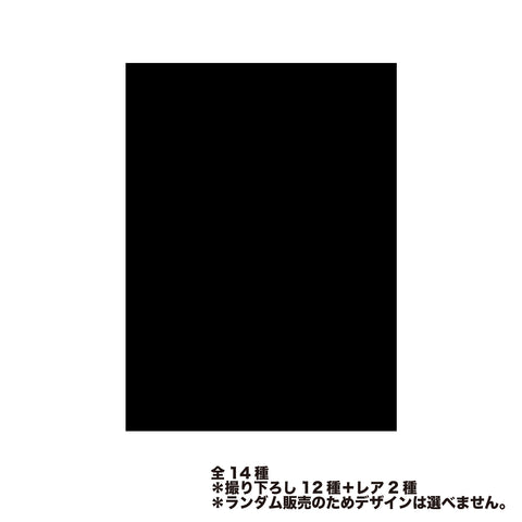 【少女革命計画】撮り下ろしランダムインスタントフォト風カード（全14種）／2nd LIVE「Revolutio」OFFICIAL GOODS
