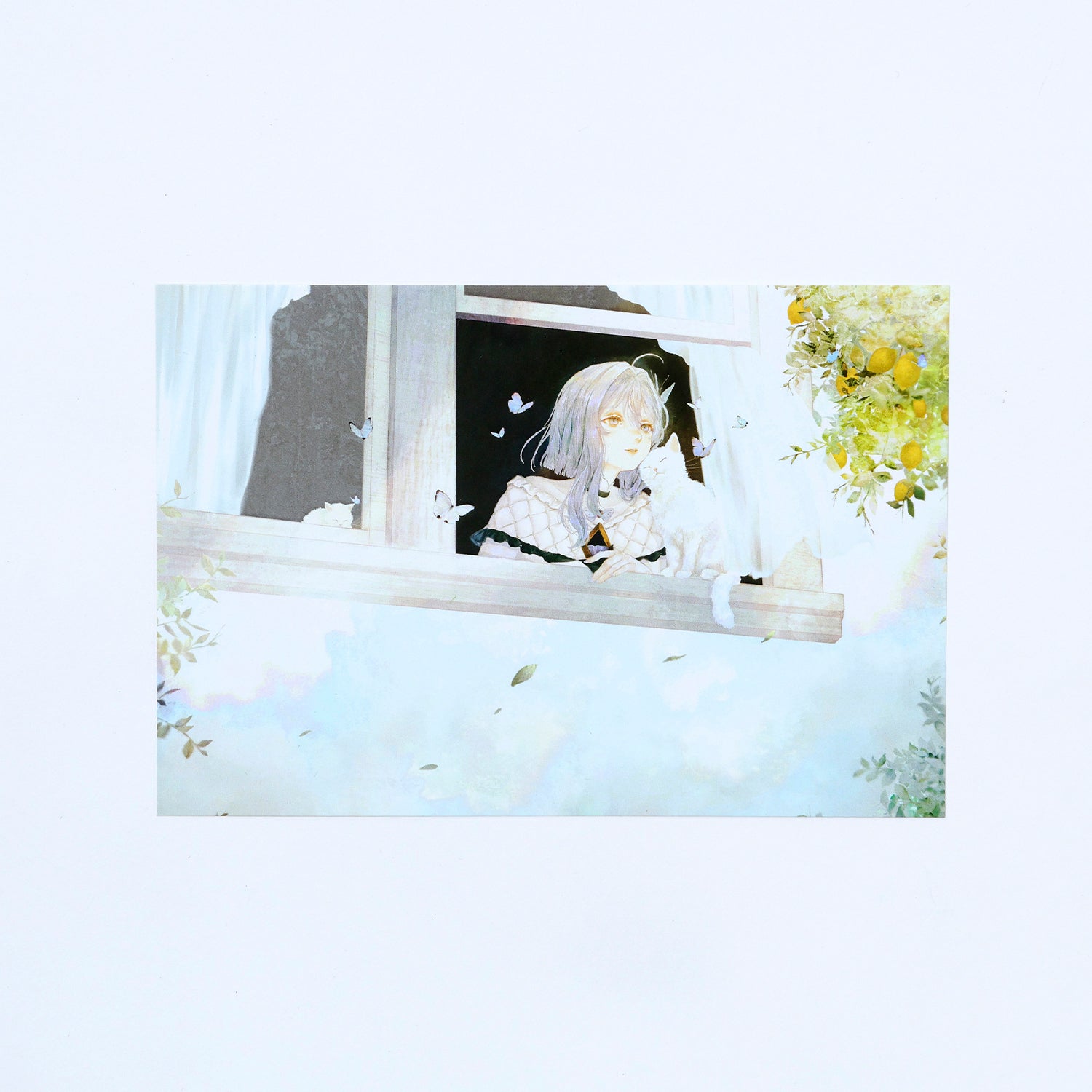 CIEL】ポストカードセット（5種）／CIEL展Ⅱ OFFICIAL GOODS – FINDME