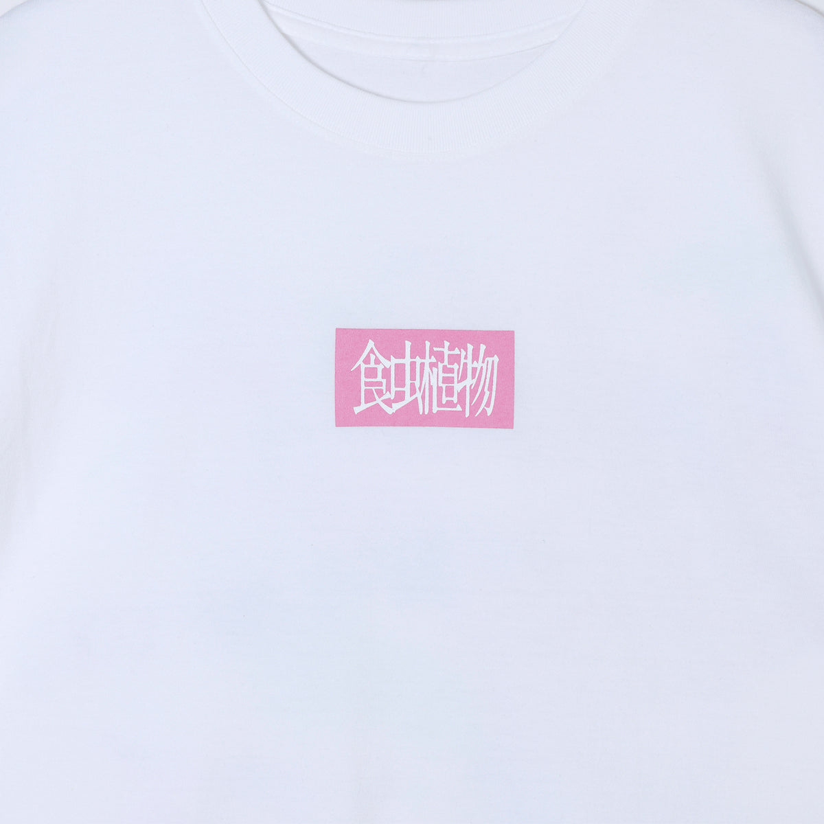 【理芽】「食虫植物」Tシャツ2026／理芽 STANDARD GOODS