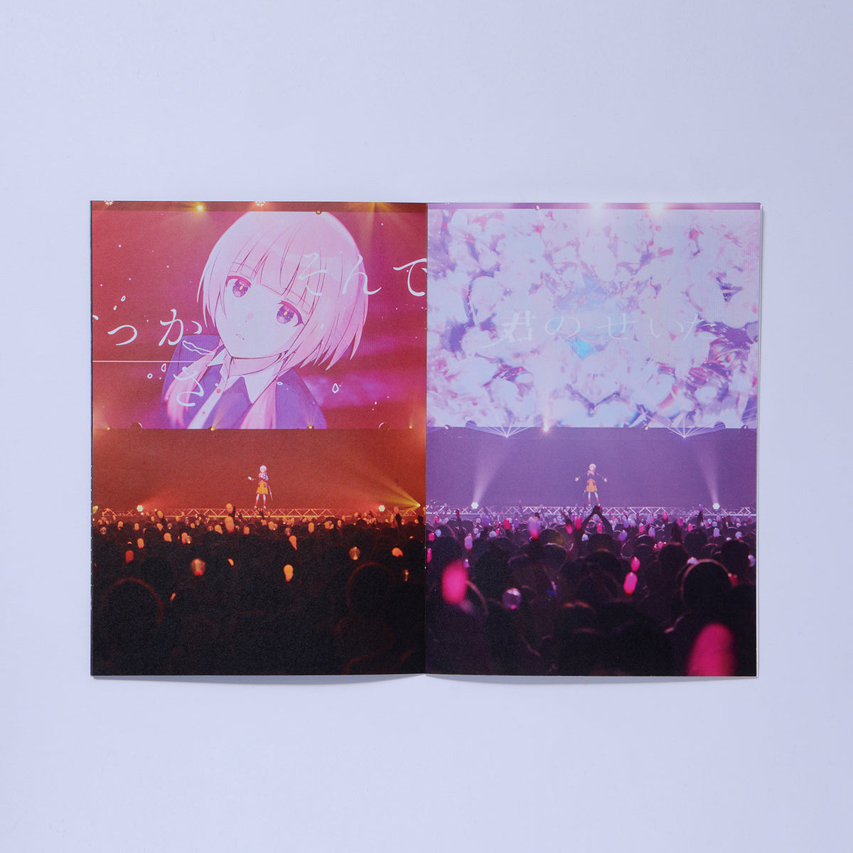 【花譜】怪歌ライブフォトブック／花譜展4「正解だらけの日々の中、いびつに君をすきになったり」