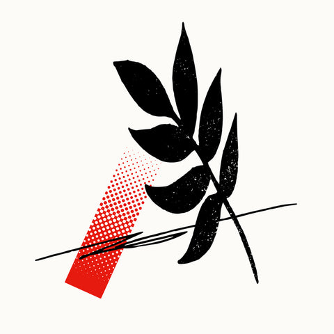 【Guiano】2nd Album「A」BOX盤