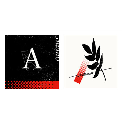 【Guiano】2nd Album「A」BOX盤